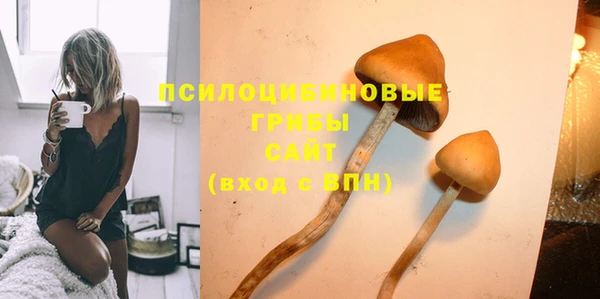не бодяженный Армянск